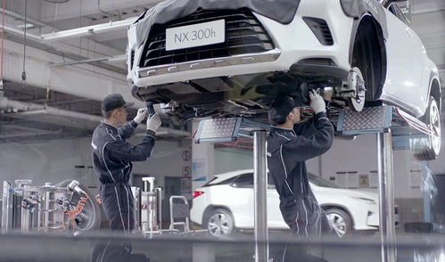 不想賺我們的錢？這個品牌火到加價，但為何不國產